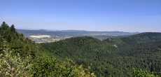 HAUTEVILLE LOMPNES 01110 (9).jpeg