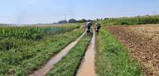 2026-08-02- CHAZEY-SUR-AIN- (01150)