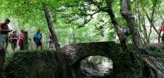 2020-06-17-PONT-DES-AMOUREUX-DAUPHINE