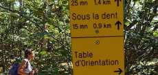LA DENT DE MOIRANS 38210 (5).jpeg