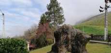 Jongieux  (12).jpg
