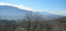 IMG_1330.JPG