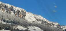 chartreuse (1).jpg