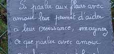 vertrieu (26).jpg