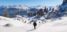 2023-01-28 & 29- WEEK-END- RAQUETTES