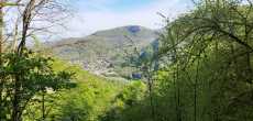 2023-04-30-BOUCLE-PAR-LA-MONTAGNE-DE-COLLOVERGE-AIN