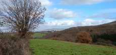 St Pierre La Palud (4).jpg