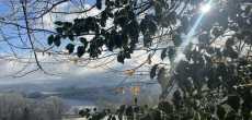 2025-01-12- MONTREVEL- (38)