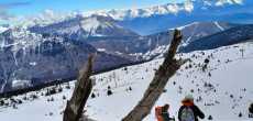 2025-02-09- MARGERIAZ- (01)