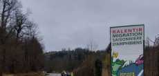 2025-03-12- ROCHE- (38)