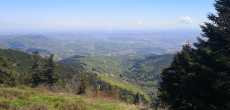 LE PILAT- (42).jpg