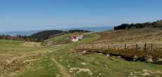 2025-04-30- LE-PILAT- (42)