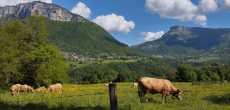 2025-05-21-ST-JEAN-D'ARVEY (73)
