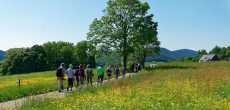 Vosges (5) - 1K JPEG.jpg