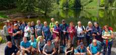 Vosges (13) - 1K JPEG.jpg