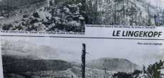 Vosges (43) - 1K JPEG.jpg