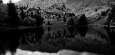 Vosges (14) - 1K JPEG.jpg