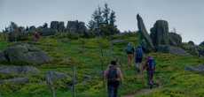 Vosges (25) - 1K JPEG.jpg