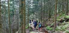 Vosges (7) - 1K JPEG.jpg