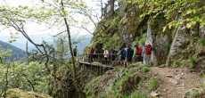 Vosges (31) - 1K JPEG.jpg