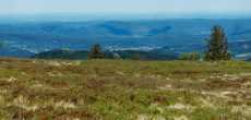 Vosges (41) - 1K JPEG.jpg