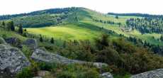 Vosges (26) - 1K JPEG.jpg