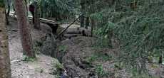 Vosges (44) - 1K JPEG.jpg