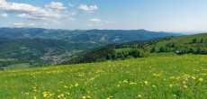 Vosges (23) - 1K JPEG.jpg