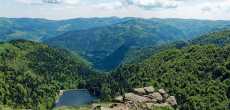 Vosges (37) - 1K JPEG.jpg