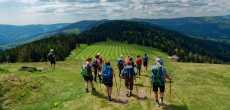 Vosges (29) - 1K JPEG.jpg