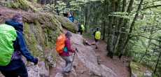 Vosges (12) - 1K JPEG.jpg