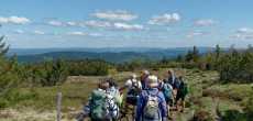 Vosges (42) - 1K JPEG.jpg