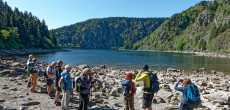 Vosges (39) - 1K JPEG.jpg