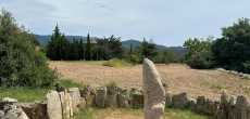 Dolmens et menhirs  (23).jpg