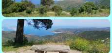 Sant Pere de Rhodes (60).jpg