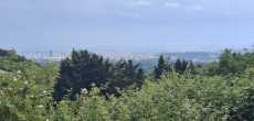 St Didier Au Mont d'Or (7).jpg