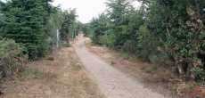 VILLEVOCANCE (4) - 1K JPEG.jpg