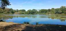2025-09-14- COURTENAY- (38)