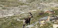 2025-08-23- AUSSOIS - (73)