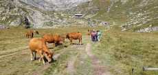 AUSSOIS 23-24 AOUT 2025 (11).jpeg