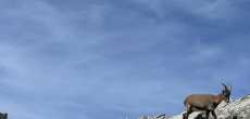 AUSSOIS 23-24 AOUT 2025 (69).jpeg