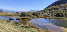 ALPE DU GRAND SERRE (17).jpg