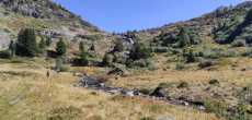 ALPE DU GRAND SERRE (2).jpg