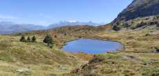 ALPE DU GRAND SERRE (12).jpg