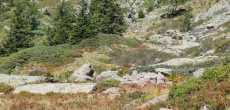 ALPE DU GRAND SERRE (1).jpg