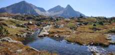 ALPE DU GRAND SERRE (3).jpg