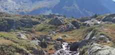 ALPE DU GRAND SERRE (4).jpg