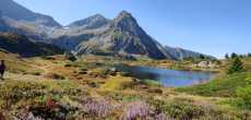 ALPE DU GRAND SERRE (21).jpg