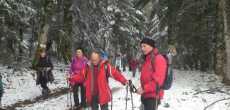 2020-02-05-COL-DE-PISSELOUP-HAUT-BUGEY