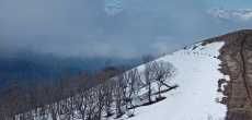 AILLON  LE JEUNE  73340 (12).jpeg